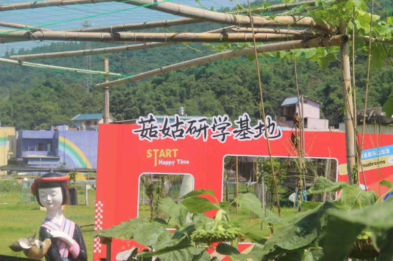 ̽ؾl(xing)_ԴF(xin)r(nng)I(y)Ą(chung)µ׃֮