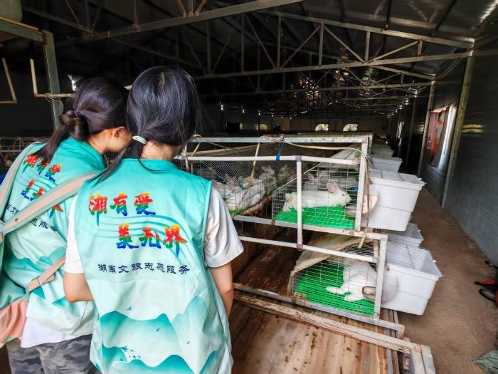 ഺҕ̽a(chn)I(y) ˄(dng)ϣ ״W(xu)ϵr(nng)(sh)`F(tun)̽LƱP(pn)|B(yng)ֳ