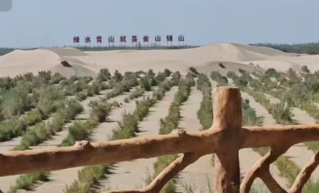 ഺ߅ ɳGVƪ ƌW(xu)cg(sh)W(xu)Ժl(xing)о&#12539;ɳG&#12539;B(ti)\(sh)`F(tun)xwl(f)չ