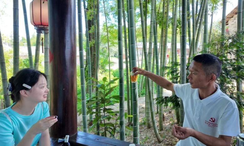 ����������W(xu��)�ഺ�����l(xi��ng) | �������㌤����������t������L(zh��ng)