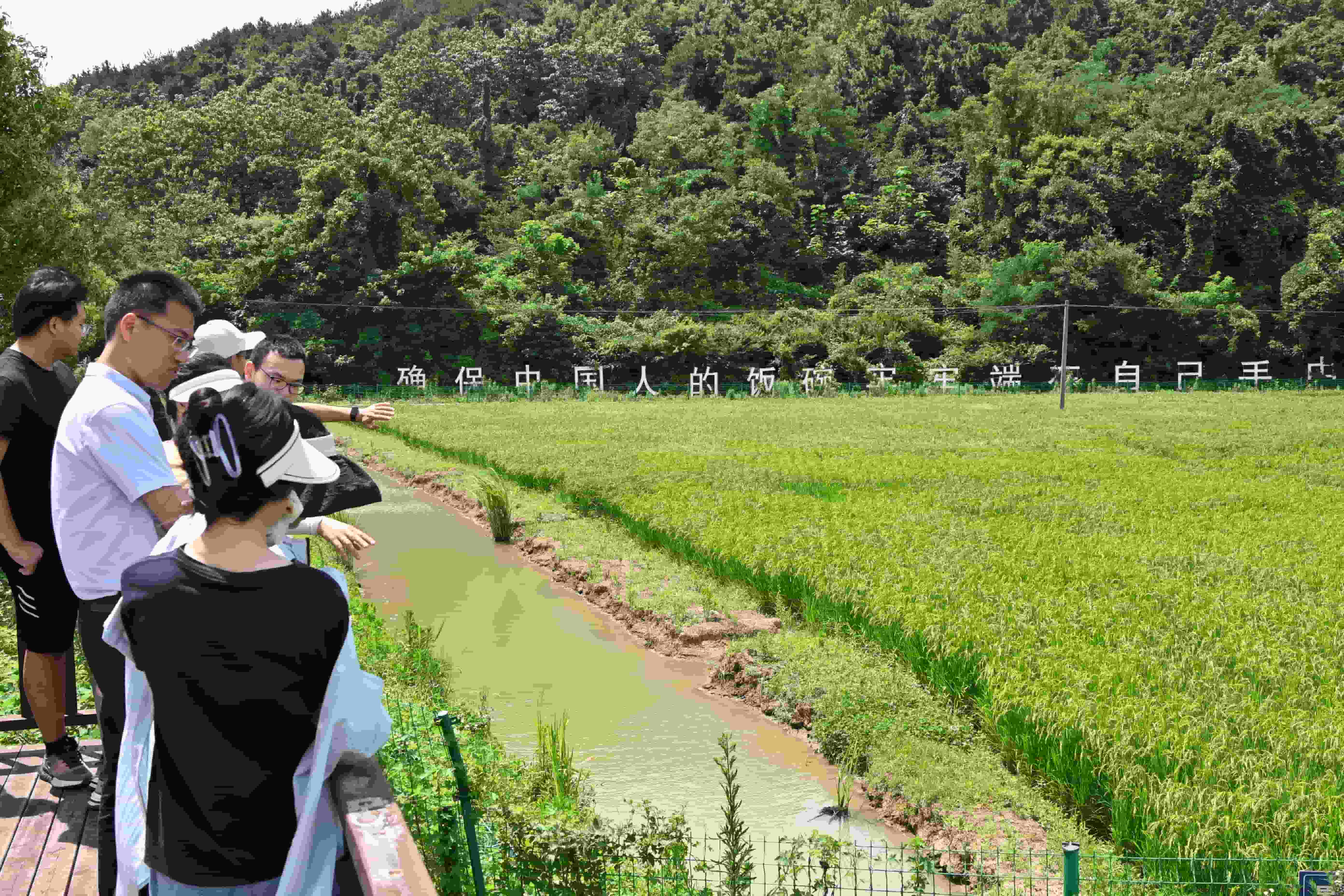 ƴWӸݴf_չLl(xing)塤ഺЄӡ`