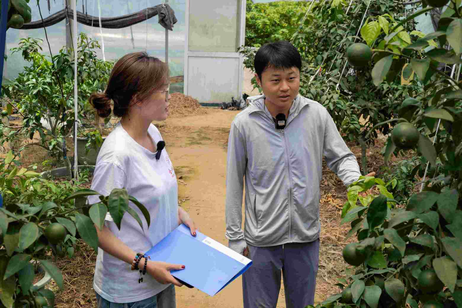 ϷʴWұ࡯L񡯮r`Fxl(xing)dഺǻұɽ(zhn)ɫa(chn)I(y)l(f)չ