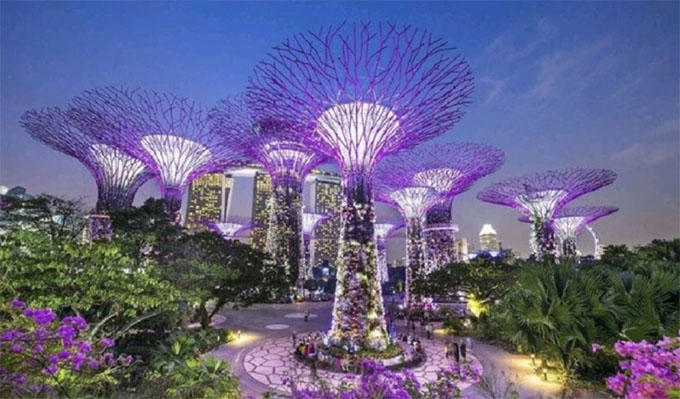 ���������Ϣ�I(y��)���g(sh��)�W(xu��)Ժ�������䡱�(xi��ng)Ŀ�������B(t��i)�h(hu��n)����ͻ��