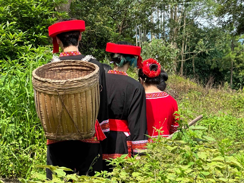 R^ˎ㣬ഺm(x)¡V|t(y)ƴW(xu){־Ը(w)ԡ+١Ьt(y)ˎĻ