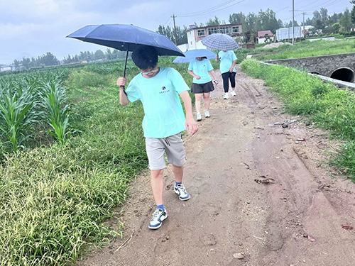 ɽ|W(xu)L(fng)`FϧZʳh(yun)xM