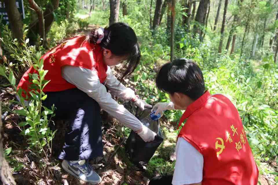 t(y)W(xu)Ժ(sh)`F(tun)Ԫ(sh)`Ll(xing)dc®