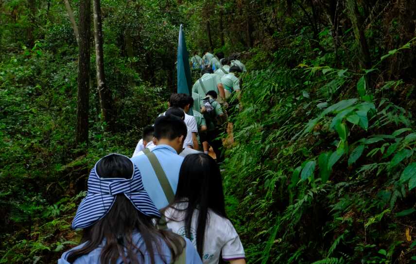 hF·I(y)g(sh)W(xu)ԺǻЌ(sh)`F(tun)У߼t܊·TF·