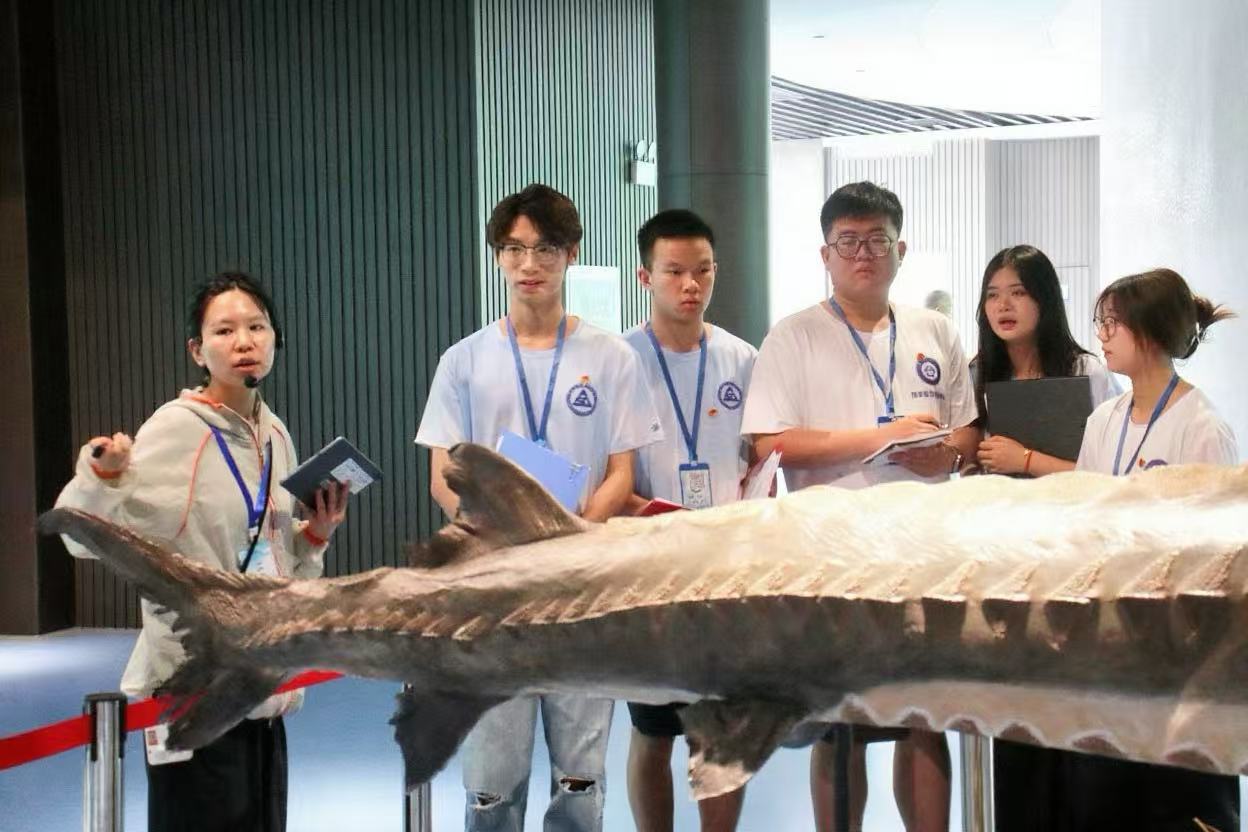 ıģOͬСWԺFίl(xing){(dio)LʮOЧ