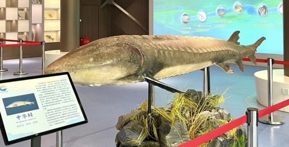 l(xing)`Уഺ̽LʯA\o