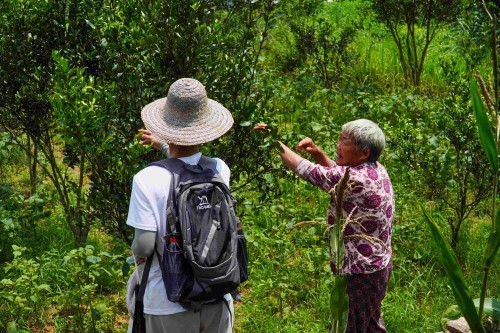 a(chn)I(y)l(f)չl(xing)d