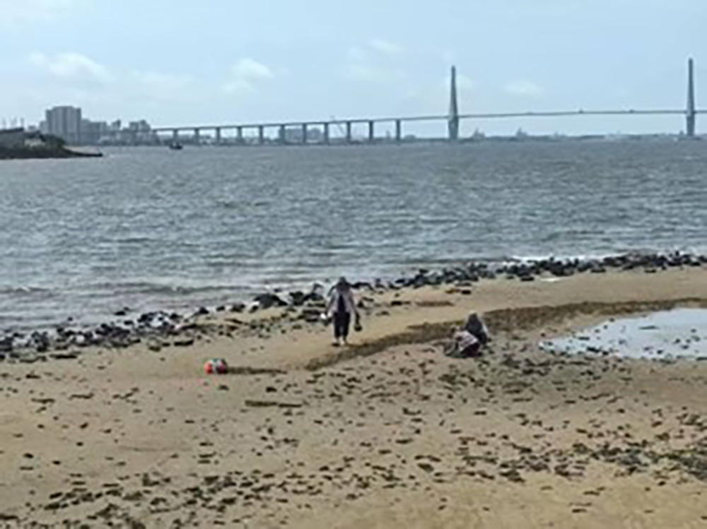 տƼW(xu)Ժg(sh)cO(sh)Ӌ(j)W(xu)Ժ(mng)(sh)`F(tun){(dio)Ј(bo)桪տt(sh)ּt(sh)ַNB(yng)ό(sh)(yn){(dio)Ј(bo)