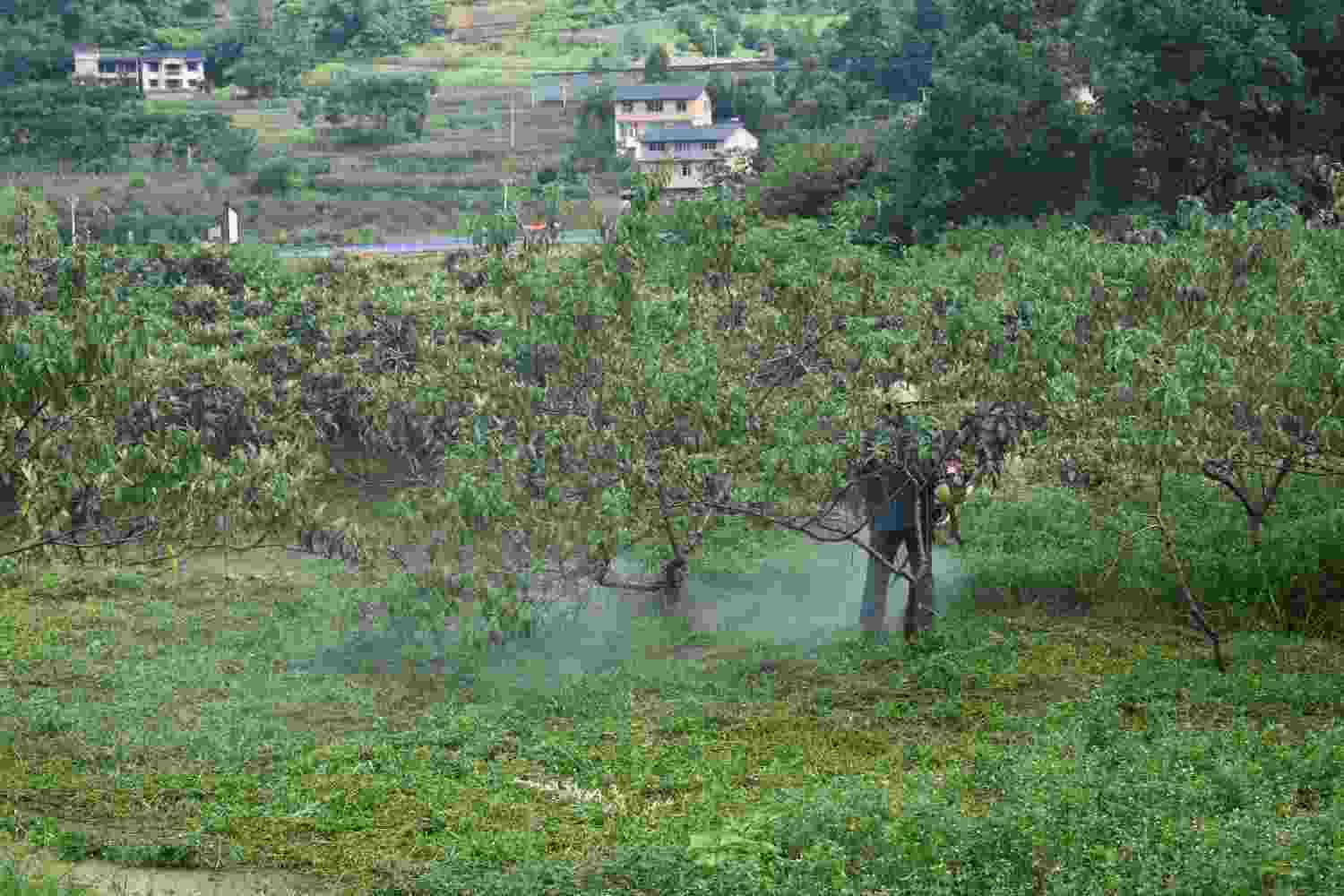 ഺr(nng)(sh)`F(tun)߲˻