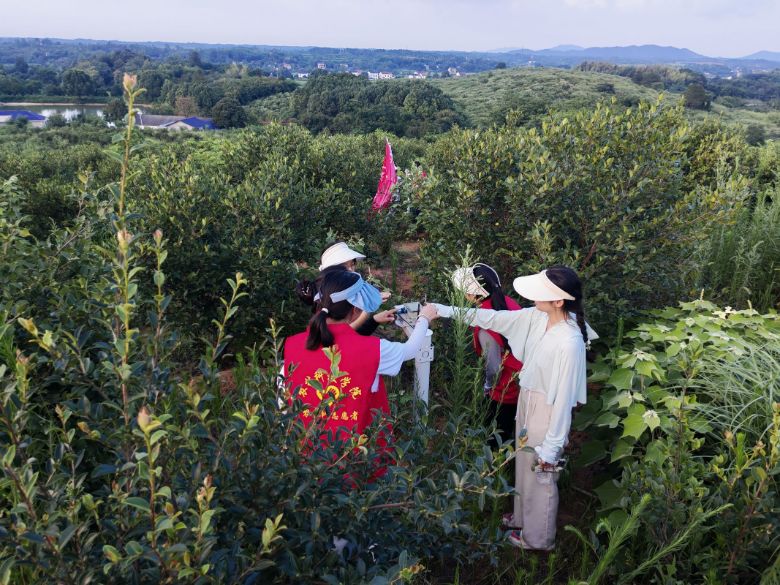 �ǻ��r(n��ng)�I(y��)��̽���������l(xi��ng)���`չ�L��