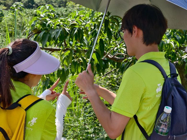 �ഺ�x�ܣ��l(xi��ng)�����d��������Դ�c���όW(xu��)Ժ����İͬ�����l(xi��ng)�sͬ�С��������(hu��)��(sh��)�`�(du��)����(f��)�l(xi��ng)�ķ�կ̽�ع��@