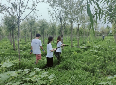 Ͷ폊(qing)r(nng)(sh)`l(xing)d M(jn)˽ⱱwƴr(nng)I(y)wr