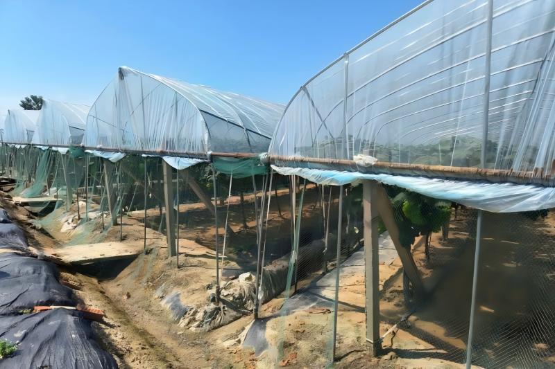 ͬ(zhn)ш@_չǻr(nng)I(y)}{(dio)