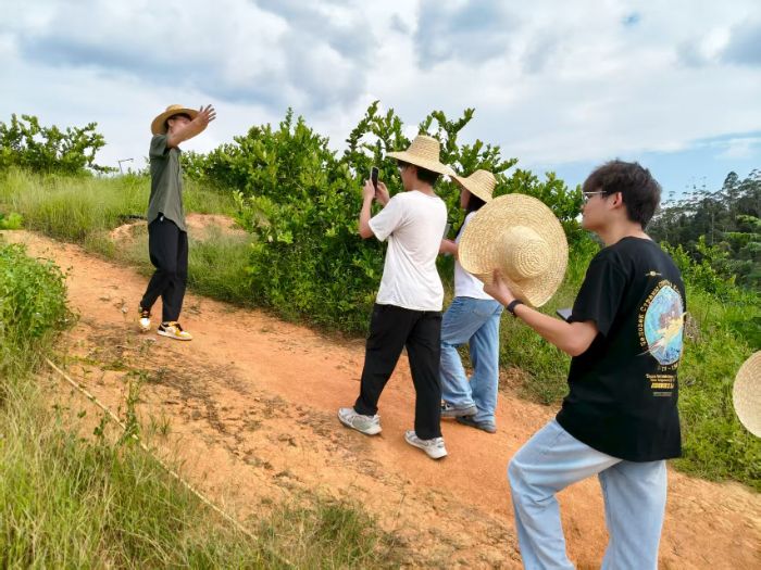 Ar(nng)W(xu)xl(xing)a(chn)I(y)ֱr(nng)̽l(f)չģʽ