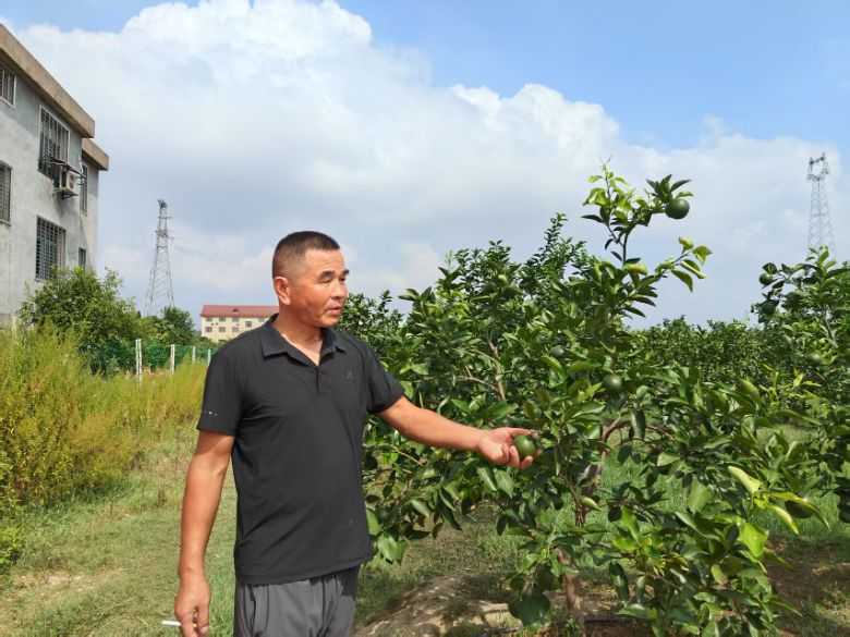 LSַNֲl(xing)dνY(ji) "¸"