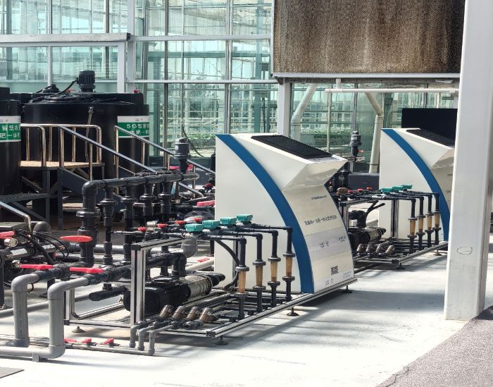 ɽ|W(xu)l(xing)ǻ۲ˈ@˼(bio)(zhn)Nֲ¹