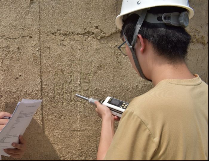 成員走訪沿壩村落 宋天浩攝