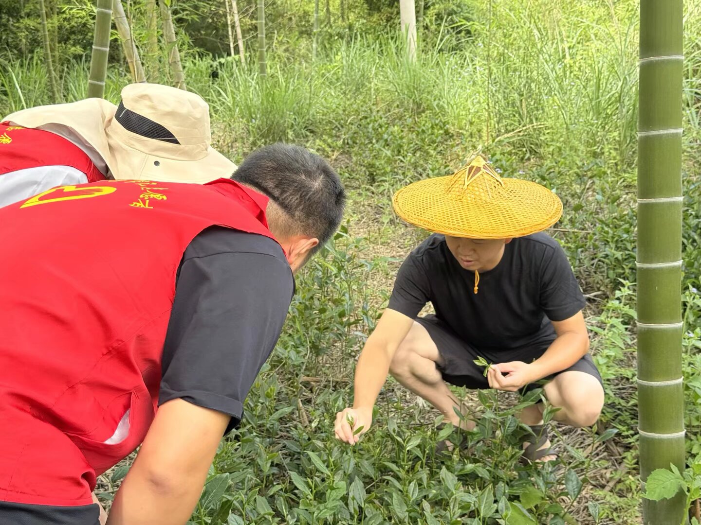 ������I�� ���`�̤�L܊�I�壺���ഺ֮�����Ļ����}��׌��ɫ�Ļ��`���d���A