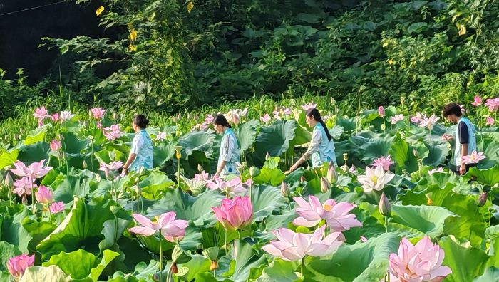 뮋(hu)(li) ഺR^䛷A״W(xu)ϵr(nng)(sh)`(du)ɻ@Ĕzxl(xing)ðl(f)չ