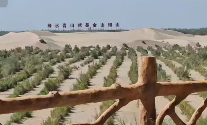 ഺɳGƌW(xu)cg(sh)W(xu)Ժl(xing)`F̽wᡰB(ti)f(xi)ͬl(f)չ֮· оɳGB(ti)\ B(ti)`F