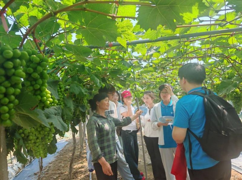 ���L�����L����̽���l(f��)չ��;