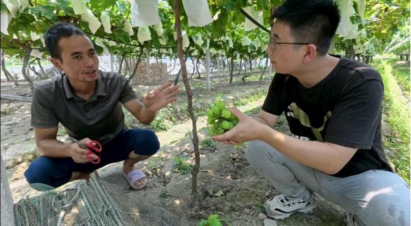 �ഺ�������s��Ұ�g���I(y��)�x�������d �������Ϲ��̌WԺ�W�Ӹ��r�ڴ��_չ���Ѯa(ch��n)�I(y��)�ͷ����`