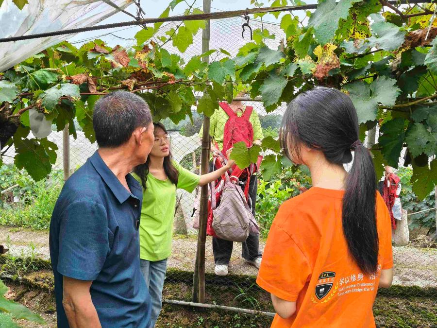 ഺ_d^[(sh)`F(tun)ɰشш@̽Lӛ