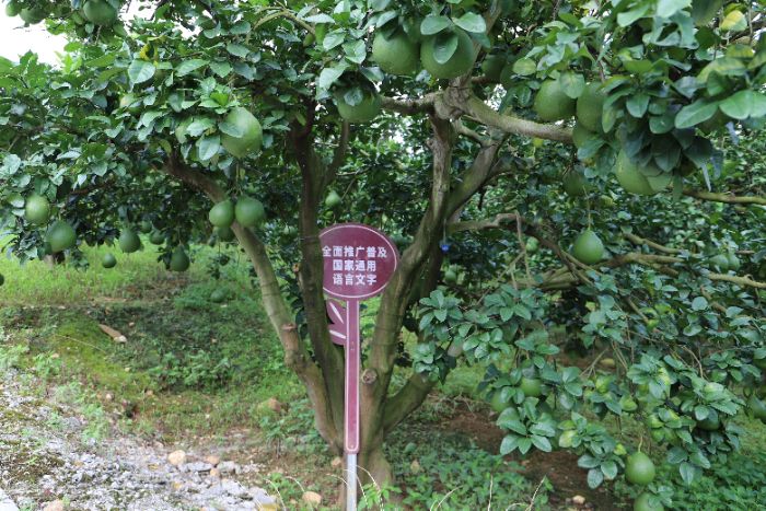 ��(d��ng)?sh��)ص����������ƣ��S��ͨӍ�T�z