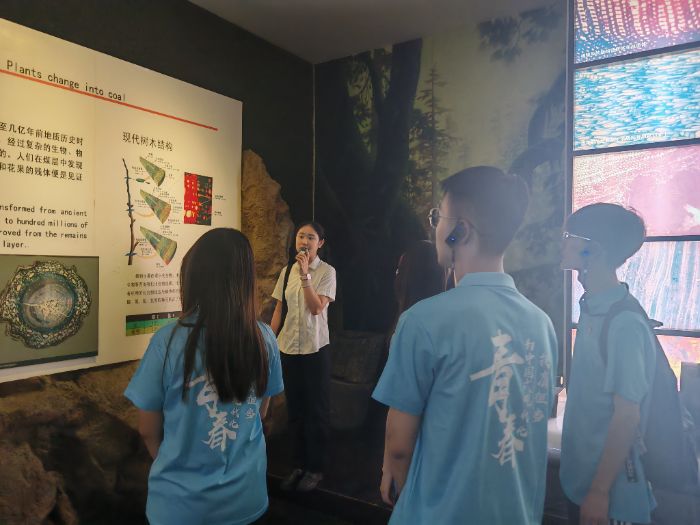 D錍`꠆T^ú̿^ ͨӍTz