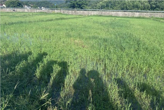 `l(xing)壬d㽭I(y)W(xu)֮W(xu)ԺǻӋ `F`