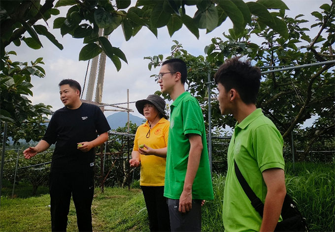 l(xing)s࣬Ԓ(hu)dӋ(j)