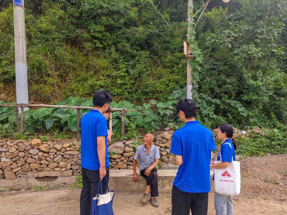 Ƽδ(li)ƺl(xing)r(nng)C(j)(yng)֮̽