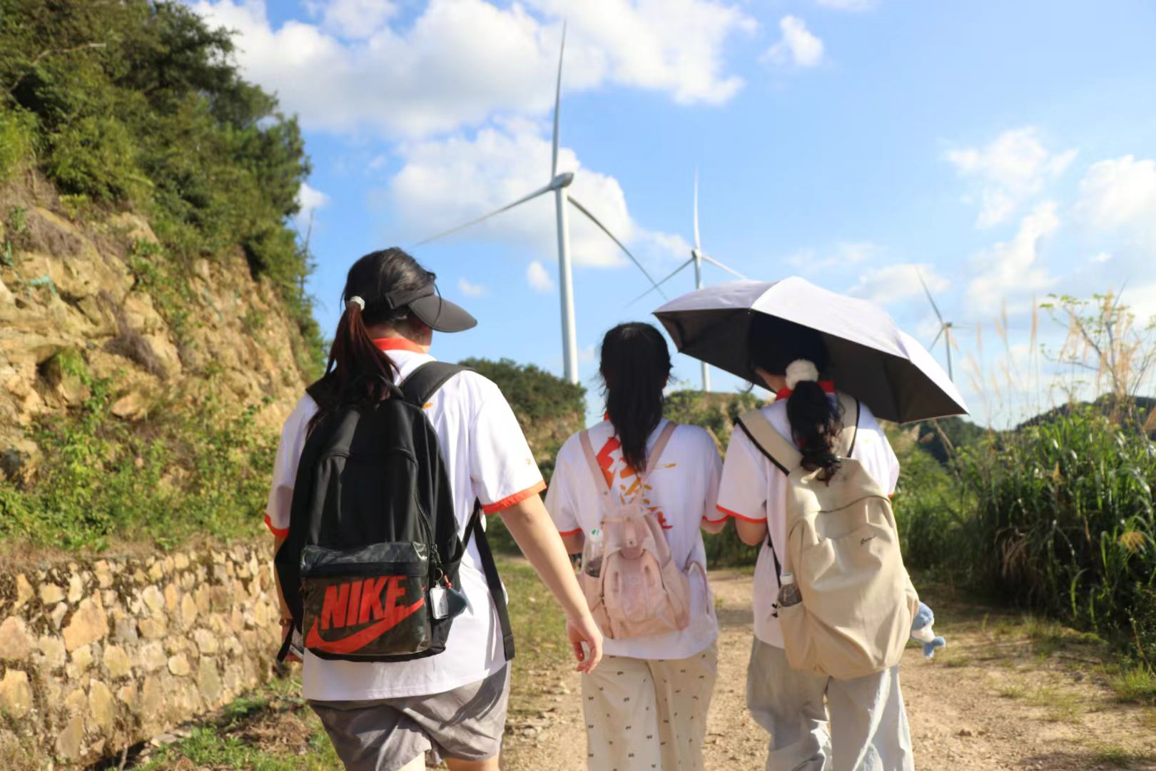 һl(xing)F(tun)(du)ƱPկļtɫ׷cഺ㟒