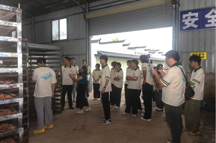 W(xu)顱F(tun)(du)̽ζB(ti)@Gɫl(f)չ֮·