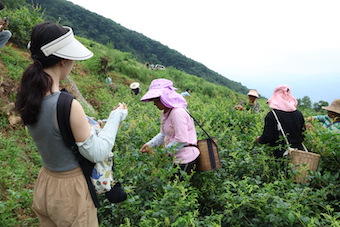 Ժl(xing)־Ը꠸ݮ蹫˾MЅ^