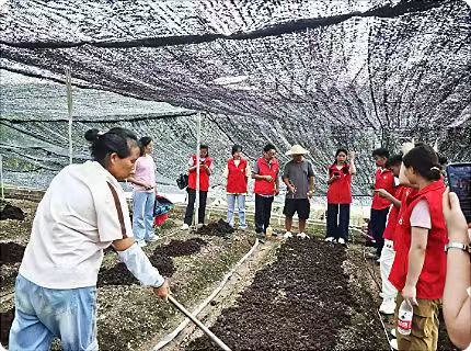 ǭt(y)WߵȌƌWУˎWݼr(nng)ңRol(xing)H