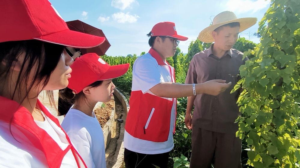 2025꿵B(yng)ϵl(xing)t(y)·顱(hu)(sh)`(du)o(j)(sh)ʮţ ഺŰٲ݈@ˎW(xu)֪