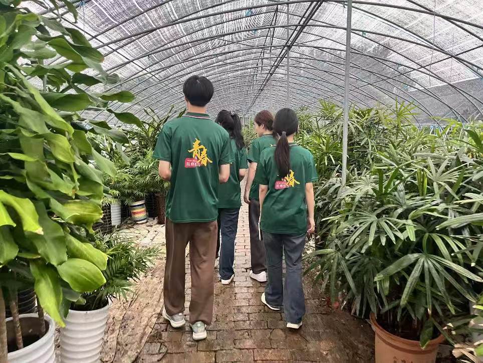 D(zhun)ⱡĤNֲr(nng)I(y)Ƽxl(xing)d