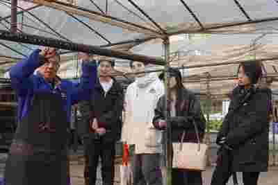 zĻ l(xing)dؑcWR˼xWԺ`F{мo