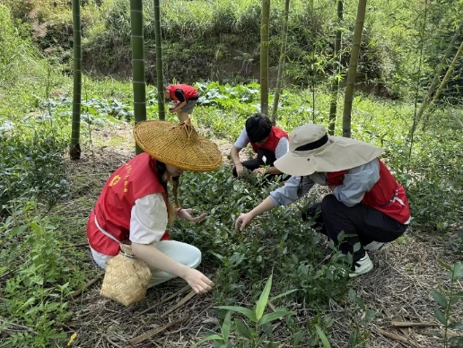 ������܊�I���r(n��ng)����̽��ͬ�����Ļ������c��(chu��ng)��֮·