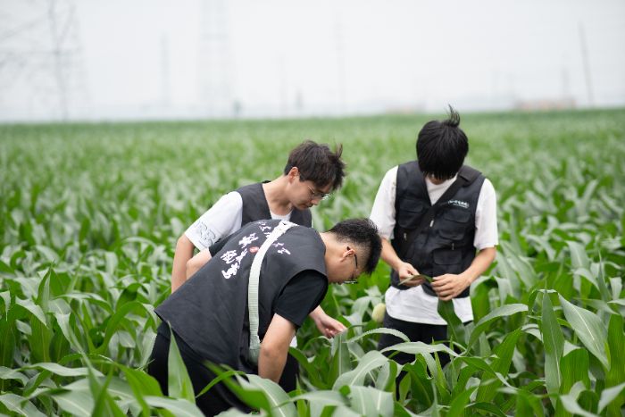 �Ƽ����S���`�F��_չ���r(n��ng)����Nֲ��r�ͻ��A(ch��)�O(sh��)ʩ�ğo�˙C�D��ɼ�����