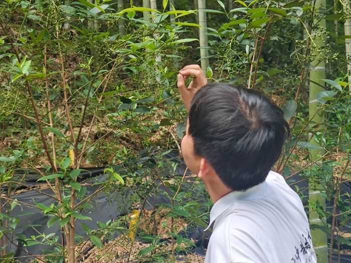 ҉ؘۈF꠸fɽAa(chn)I(y)