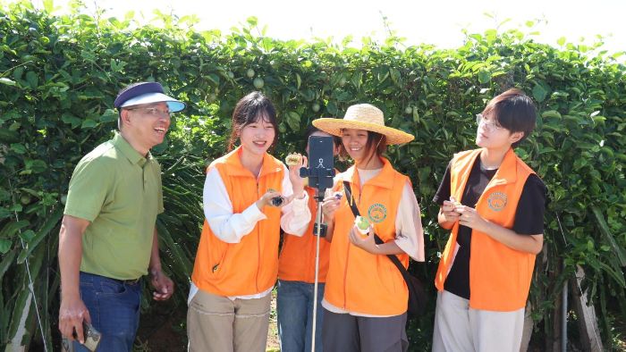 V|g(sh)W(xu)˼Դ(sh)`F(tun)(du)Ϫh̶(zhn)_չ^ֱr(nng)(sh)`