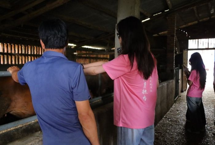 ꃹ 朄(dng)Q(mo)(mng)(sh)`F(tun)̽ɽSţB(yng)ֳǻ