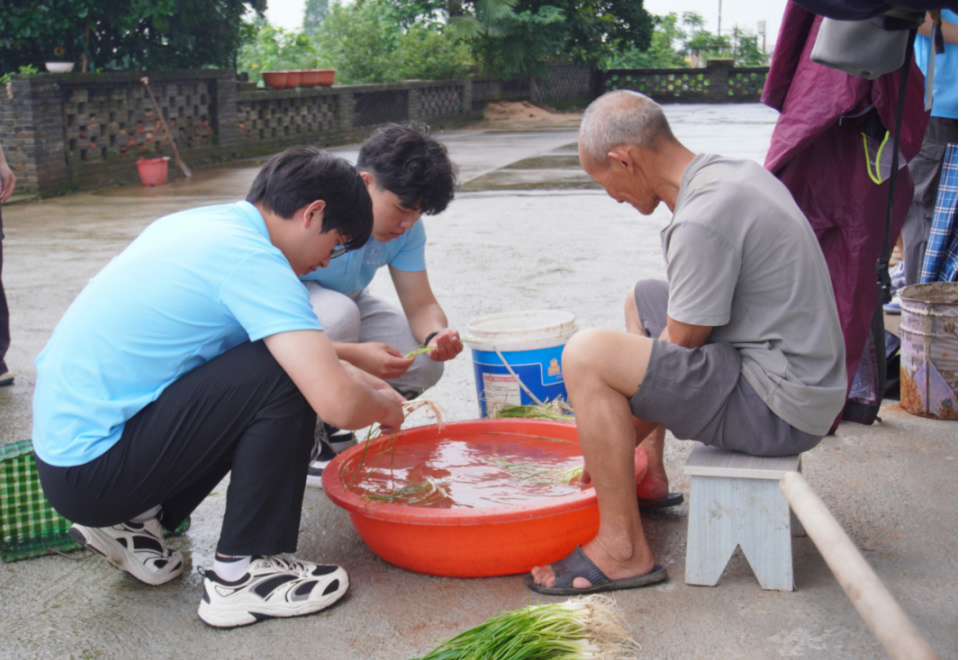 ϵ˫I(xin)P(gun)(i) ů@齭bW(xu)ԺMl(xing) r(sh)`֪(hu)(sh)`(du)Lճ˻(dng)