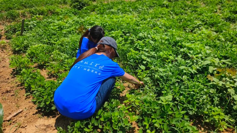 ���ϳǽ��W(xu��)Ժ�����������̽�r(n��ng)�������ϳǽ��W(xu��)Ժ�_(k��i)չ���g��(sh��)���{(di��o)�л��(d��ng)