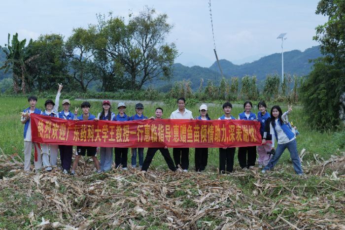 ǧf̡ͻꠣOl(xing)SVѼOdVˎ`Fl(xing)dЄ